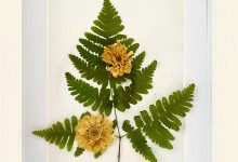 Farn mit gelben Blumen